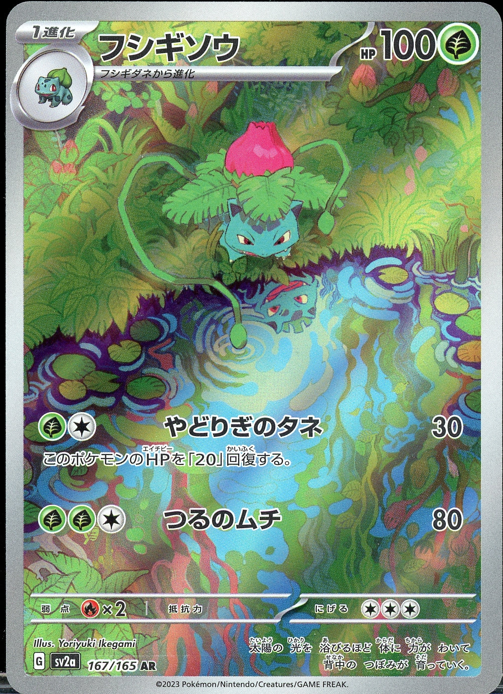 Ivysaur (Japanese) - 167/165 - Pokemon 151 - NM